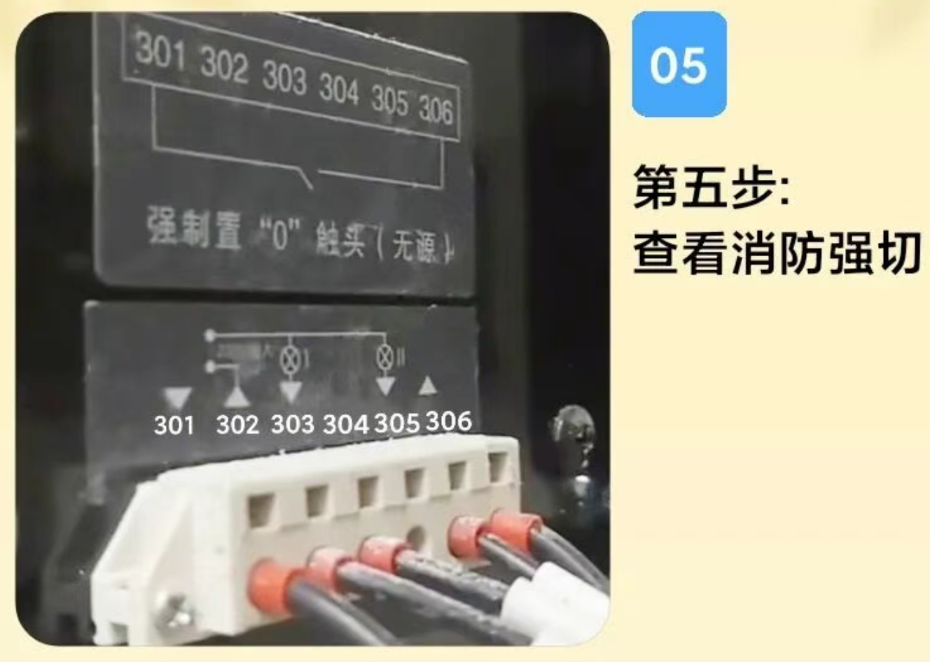 1772174517429881.png 1772174517429881.png