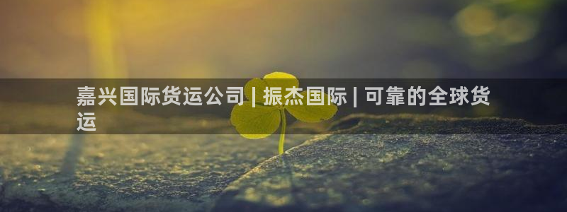 尊龙凯时台子：嘉兴国际货运公司 | 振杰国际 | 可靠的