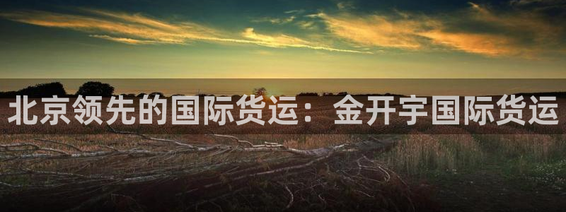 尊龙凯时人生就是博游戏网站：北京领先的国际货运：金开宇国