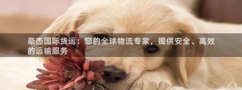 尊龙凯时不给提款：豪杰国际货运：您的全球物流专家，提供安