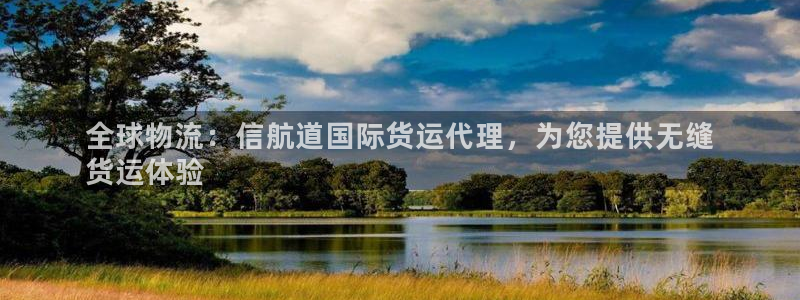尊龙官网手：全球物流：信航道国际货运代理，为您提供无缝
