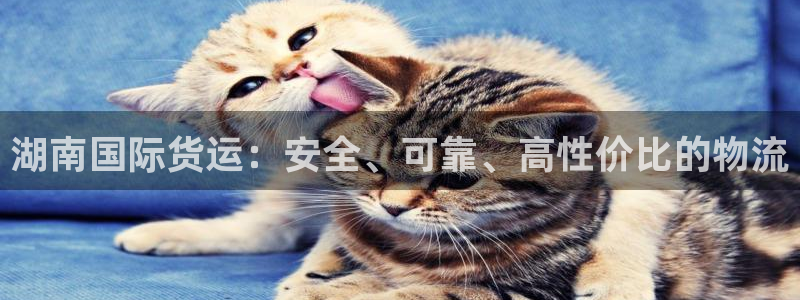 尊龙凯时下载官方正版：湖南国际货运：安全、可靠、高性价比