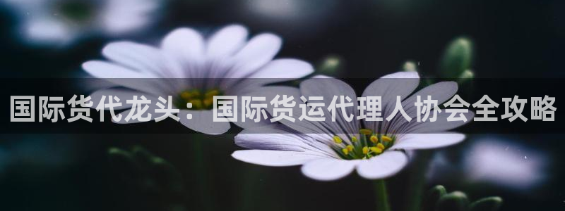 尊龙人生就是博送38：国际货代龙头：国际货运代理人协会全