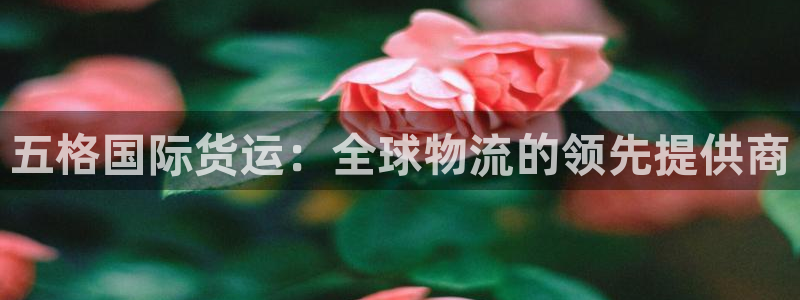 尊龙游戏官网：五格国际货运：全球物流的领先提供商