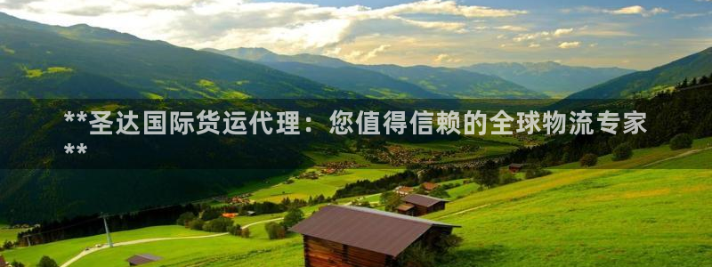 尊龙人生就是博电脑版：**圣达国际货运代理：您值得信赖的