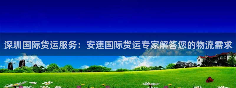 尊龙凯时官网平台：深圳国际货运服务：安速国际货运专家解答