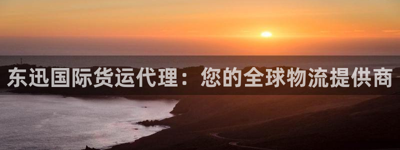 尊龙新版人生就是博!：东迅国际货运代理：您的全球物流提供