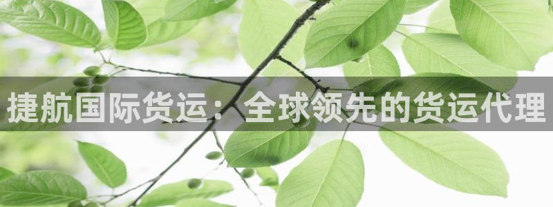 尊龙凯时怎么样没听说过：捷航国际货运：全球领先的货运代理
