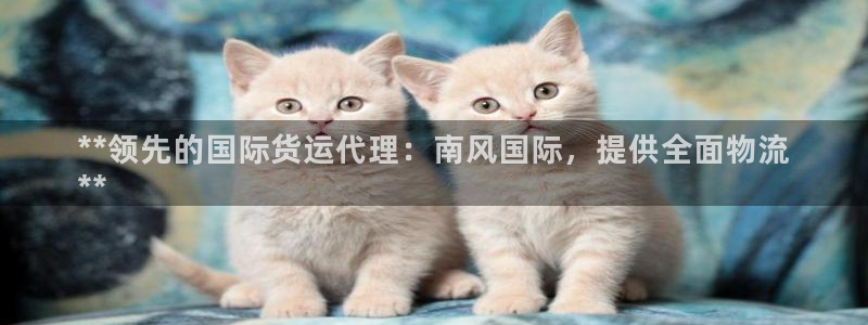 尊龙coming to my own：**领先的国际货运