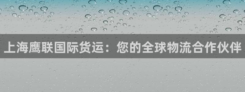 尊龙光学怎么样：上海鹰联国际货运：您的全球物流合作伙伴