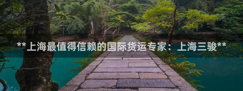 尊龙一人生就是博电子游戏：**上海最值得信赖的国际货运专