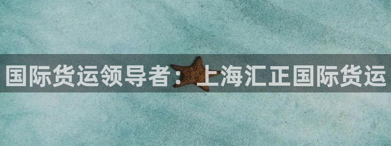 尊龙凯时合法吗?：国际货运领导者：上海汇正国际货运