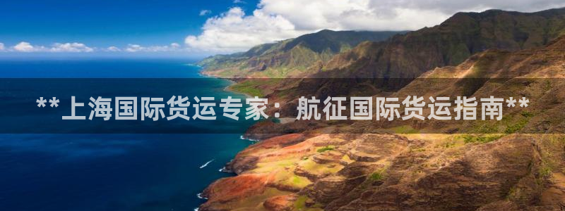 尊龙人生就是一博!：**上海国际货运专家：航征国际货运指