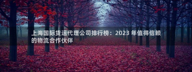 尊龙官网：上海国际货运代理公司排行榜：2023 年值得信