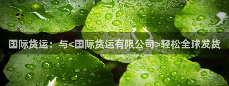 尊龙凯时官方网站下载：国际货运：与<国际货运有限公司>轻