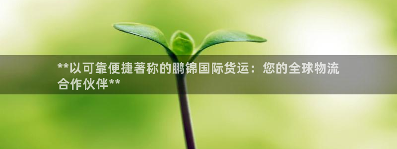 尊龙2020：**以可靠便捷著称的鹏锦国际货运：您的全球