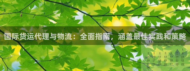 旧版尊龙人生就是博-ag旗舰平台尊龙|ag发财网来就送3