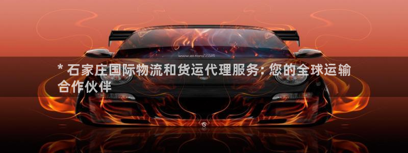 尊龙凯时存款多久到账：* 石家庄国际物流和货运代理服务:
