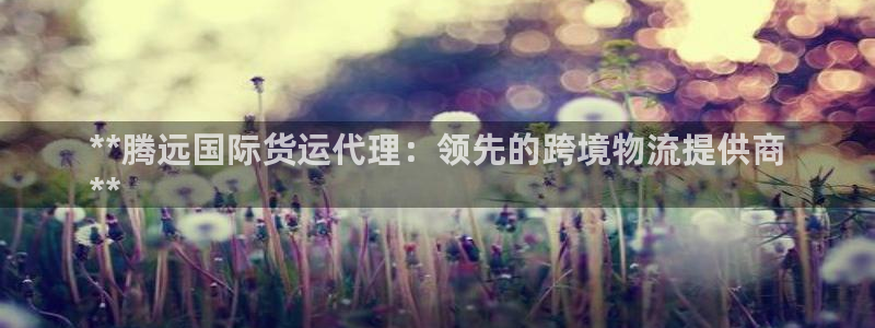 尊龙凯时网页版：**腾远国际货运代理：领先的跨境物流提供