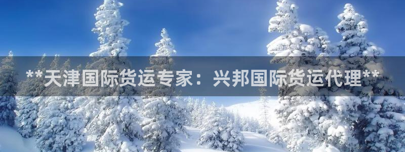 尊龙游戏官方网：**天津国际货运专家：兴邦国际货运代理*
