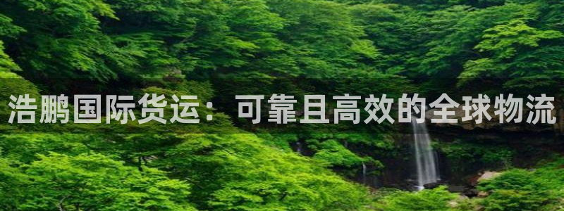 尊龙 am i blue：浩鹏国际货运：可靠且高效的全球