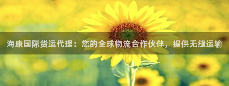 尊龙官网登录·(中国)官方网站-bd SPORTS：海康