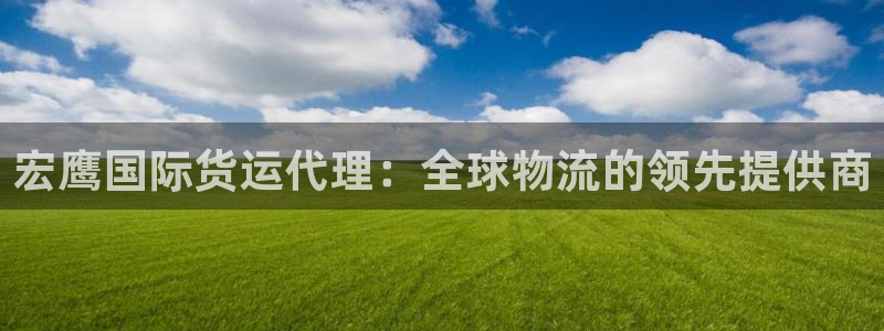 尊龙网站人生就是博：宏鹰国际货运代理：全球物流的领先提供