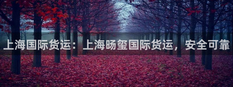 尊龙凯时网：上海国际货运：上海旸玺国际货运，安全可靠
