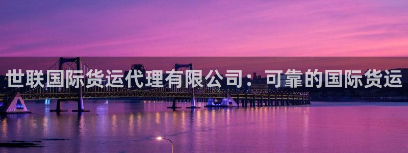 尊龙凯时下载官方正版：世联国际货运代理有限公司：可靠的国