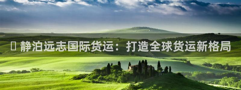 尊龙凯时麻将胡了：✅ 静泊远志国际货运：打造全球货运新格