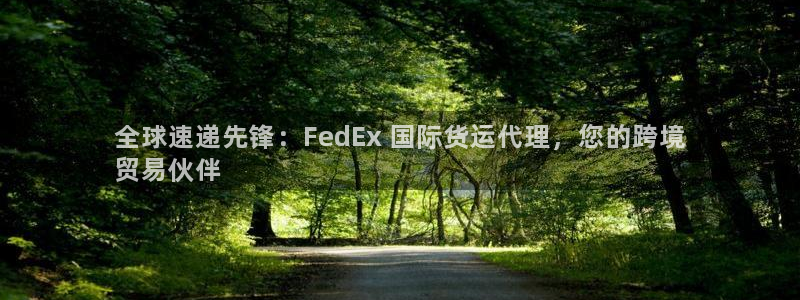 尊龙凯时人生就是博·(中国)：全球速递先锋：FedEx 