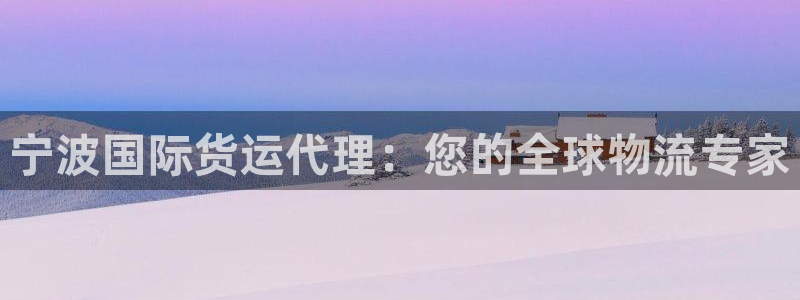 尊龙凯时网站登录：宁波国际货运代理：您的全球物流专家