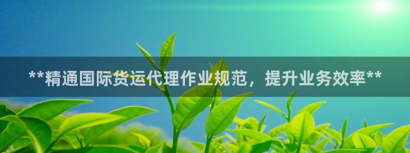 尊龙凯时 人生就是搏!：**精通国际货运代理作业规范，提