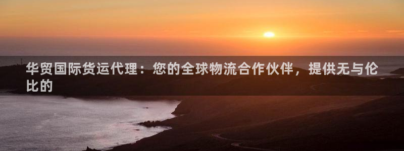 尊龙凯时防屏蔽网址：华贸国际货运代理：您的全球物流合作伙