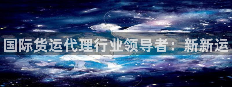尊龙凯时官网网址：国际货运代理行业领导者：新新运