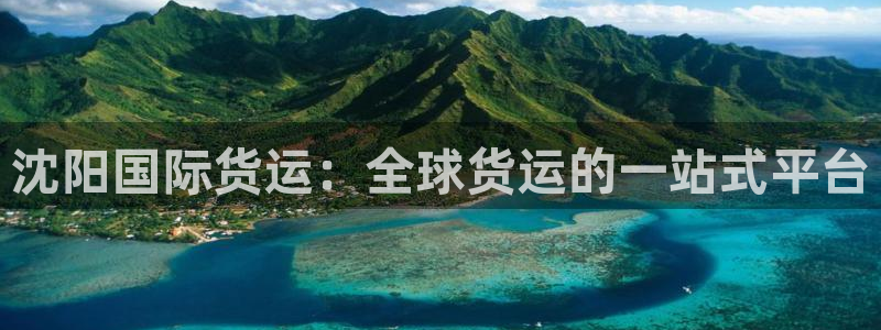 尊龙凯时平台有没有不到账的：沈阳国际货运：全球货运的一站