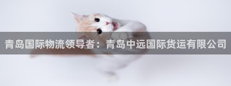 尊龙凯时平台正规吗：青岛国际物流领导者：青岛中远国际货运