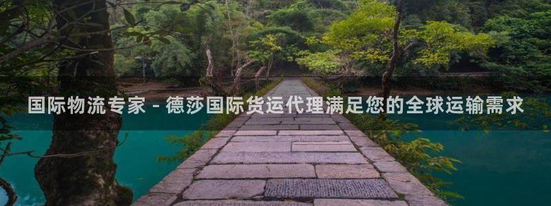 尊龙人生就是搏：国际物流专家 - 德莎国际货运代理满足您