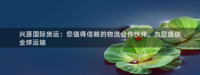 尊龙凯时代理能提出来不：兴源国际货运：您值得信赖的物流合