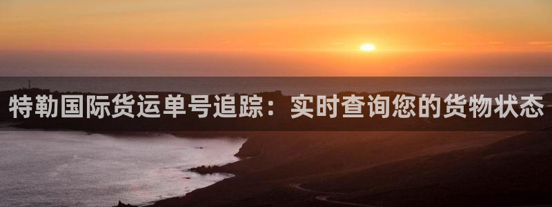 尊龙集团有限公司官网：特勒国际货运单号追踪：实时查询您的
