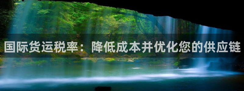 尊龙凯时z6官网：国际货运税率：降低成本并优化您的供应链