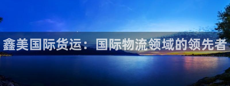 尊龙凯时是大平台吗：鑫美国际货运：国际物流领域的领先者