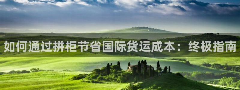 尊龙精品棋牌：如何通过拼柜节省国际货运成本：终极指南