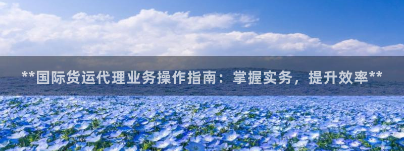 尊龙z6：**国际货运代理业务操作指南：掌握实务，提升效