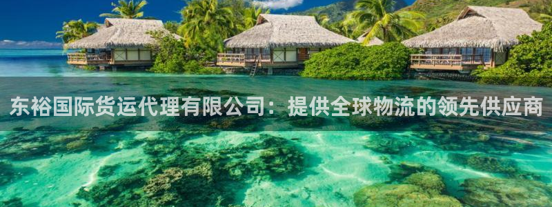 尊龙-人生就是博!：东裕国际货运代理有限公司：提供全球物