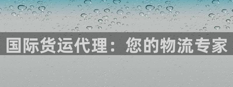 尊龙凯时ag旗舰厅试玩：国际货运代理：您的物流专家