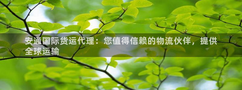 尊龙400：安通国际货运代理：您值得信赖的物流伙伴，提供
