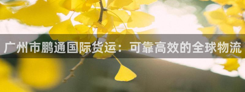 尊龙凯时官方网站下载：广州市鹏通国际货运：可靠高效的全球