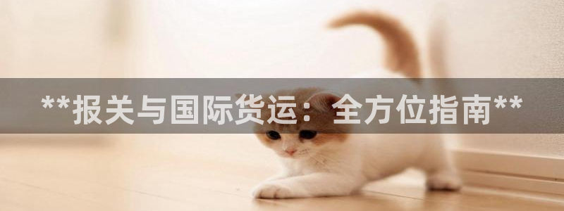 尊龙凯时旗舰厅官网：**报关与国际货运：全方位指南**