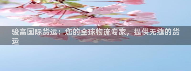 尊龙平台有谁玩过：骏高国际货运：您的全球物流专家，提供无